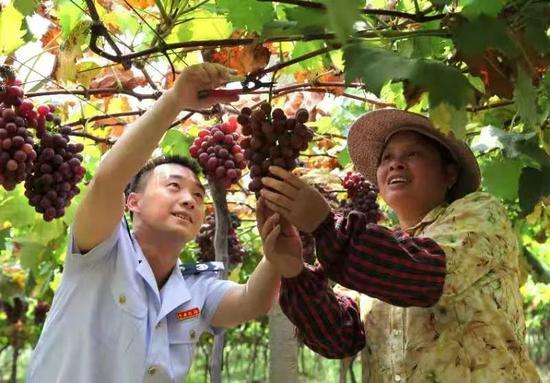 减税降费助力 返乡创业不断催生经济增长新业态
