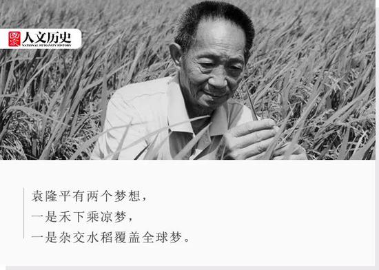 袁隆平的梦想：有朝一日，坐在稻子下乘凉休闲区蓝鸢梦想 - Www.slyday.coM
