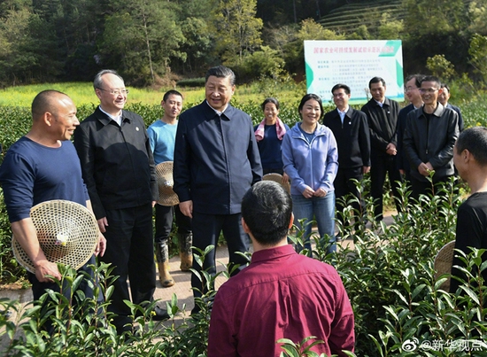3月22日，习近平总书记在南平武夷山市星村镇燕子窠生态茶园同科技特派员、茶农亲切交流。