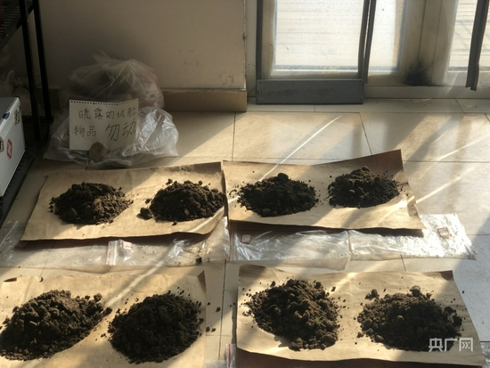 农场里年轻人的试验土壤（央广网记者 王晶 摄）