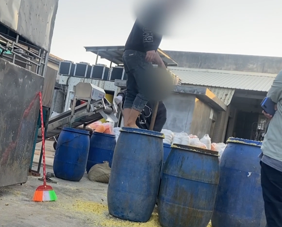 汕头腌制厂工人用脚踩菜，甚至边抽烟边切酸菜