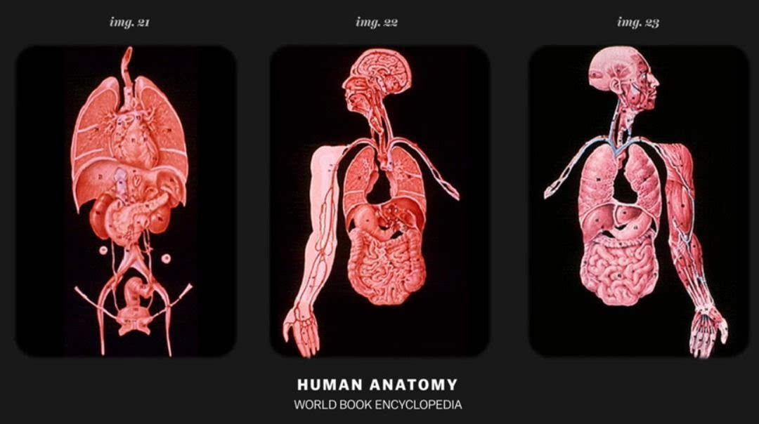 nasa用这些向外星人介绍地球