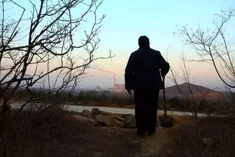 2014年，聂树斌母亲给儿子上完坟后，默立许久。 郭现中 摄