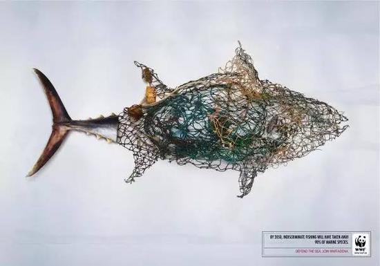 WWF制作的保护蓝鳍金枪鱼海报。