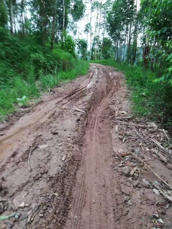 村民众筹30万元欲硬化通村路，10年间10人去世未等来动工，街道办回应