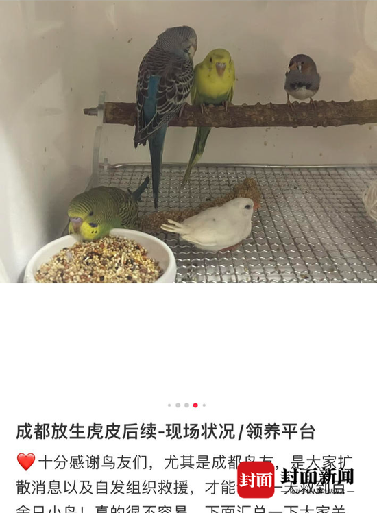 单招考试后，这些事你得知道v5.9.1 官方安卓版