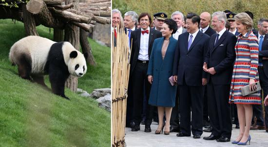 2014年3月30日，国家主席习近平和比利时国王菲利普共同出席比利时天堂公园大熊猫园开园仪式。这是习近平主席和夫人彭丽媛同菲利普国王夫妇、时任比利时首相迪吕波等参观大熊猫园（拼版照片）。