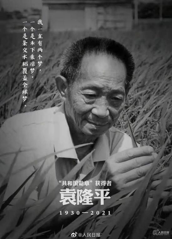 袁隆平的梦想：有朝一日，坐在稻子下乘凉休闲区蓝鸢梦想 - Www.slyday.coM