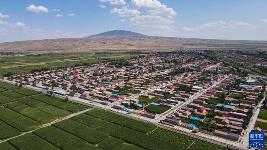 宁夏吴忠市红寺堡区柳泉乡永新村（2021年7月29日摄，无人机照片）。新华社记者 徐钦 摄