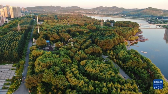 锦州东湖森林公园景色（无人机照片）。新华社记者 杨青 摄