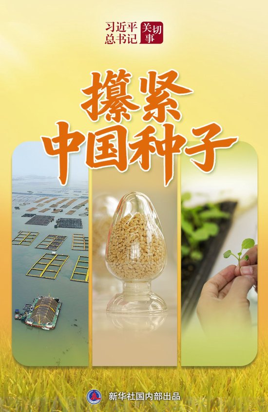 习近平总书记关切事｜攥紧中国种子