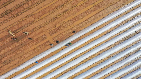  △2022年3月7日，四川省宜宾市长宁县春耕生产全面铺开，村民正在育秧。