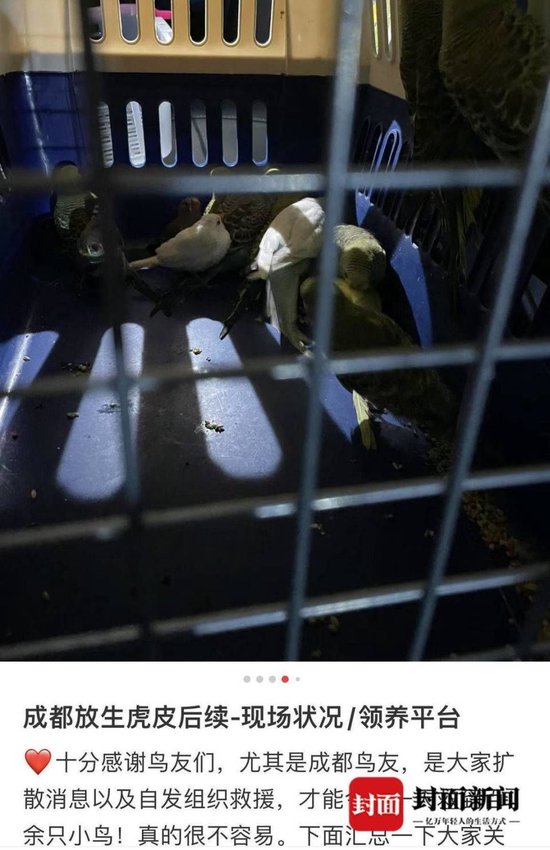 内塔尼亚胡刚警告完伊朗，就收到了坏消息，伊朗的最强援手露头了
