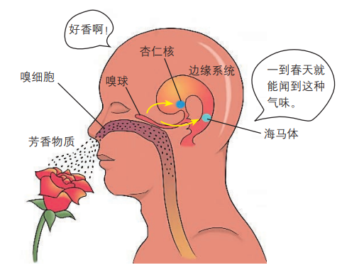 蛇最怕什么药?中国人都用雄黄驱蛇,外国人居然用柴油...