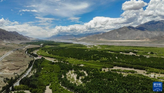 雅鲁藏布江山南段防护林（2020年6月27日摄，无人机照片）。新华社记者 晋美多吉 摄