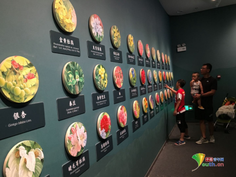 游客参观展馆。中国青年网记者 赵瑛摄