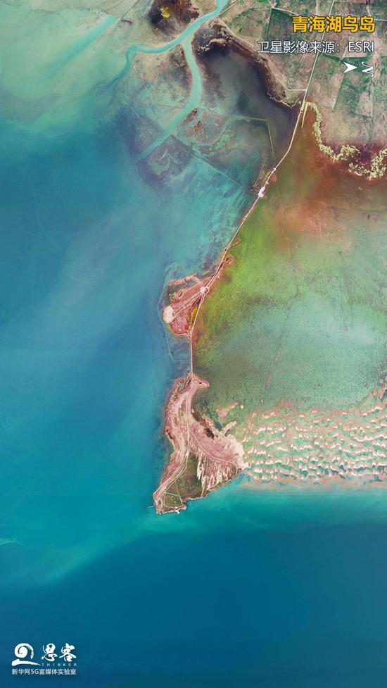 卫星视角下的青海湖鸟岛。卫星影像来源:ESRI
