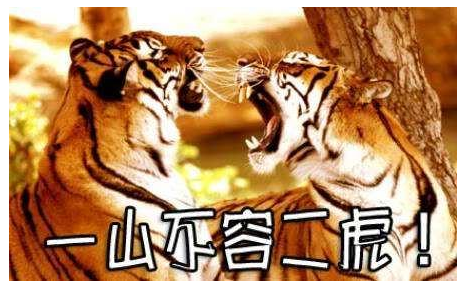 镇不住  一山不容二虎哪怕一公一母