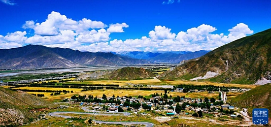 西藏拉萨市达孜区秋色（2020年8月20日摄）。新华社记者 沈虹冰 摄