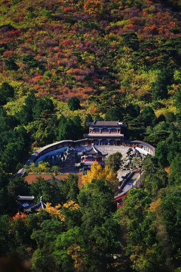 北京香山公园红叶变色率已达70市民可线上观赏