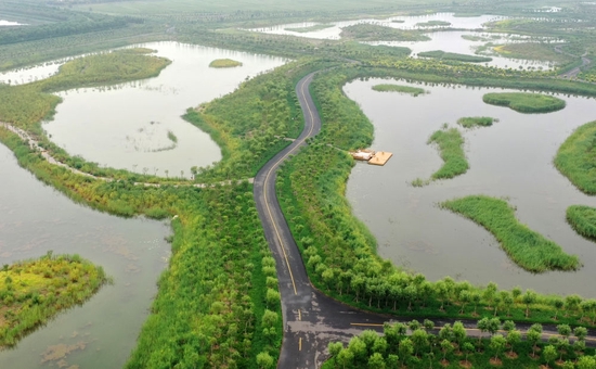 天津西青生态廊道一景（2021年8月16日摄，无人机照片）。新华社记者 李然 摄