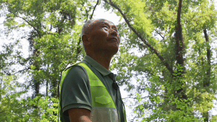  俞旺金带着护鸟队分组沿河巡护（央广网记者 尹博 制）