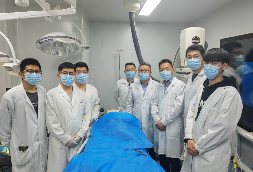 全球首例！北京成功完成非人灵长类动物介入式脑机接口试验