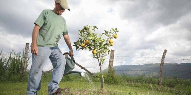 家长求网友帮孩子“浇水”