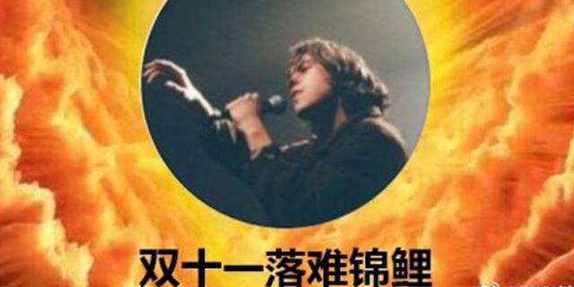 双11首位“落难锦鲤”