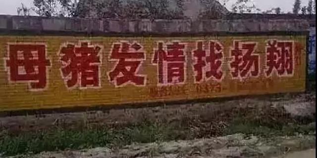 国产沙雕广告 椰树排不进前十