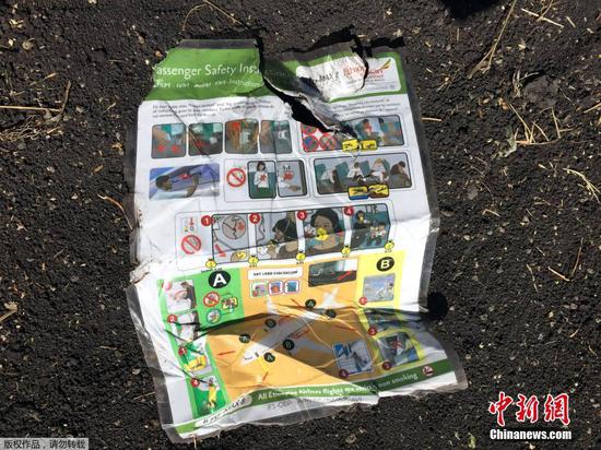 埃航坠机现场形成长50米深巨坑 碎片遍地散落