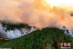 法国林火持续蔓延