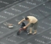 大哥竟在楼顶教狗狗骑车