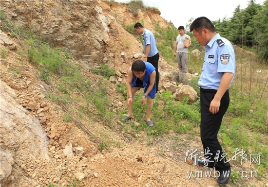 为替被害人挽回损失，刑警搜遍了这处山坡。