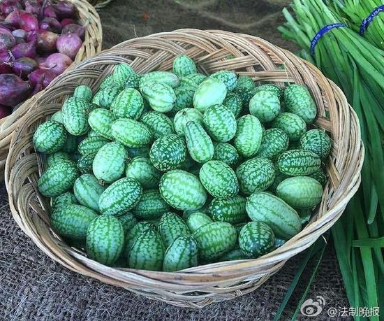 世界上最小的西瓜