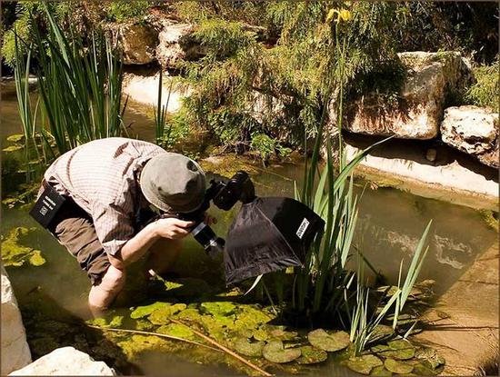 全球最疯狂最敬业的摄影师