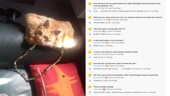 将死猫制作成包包 你能接受吗？