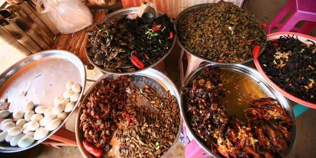 广东人真的什么都吃吗？