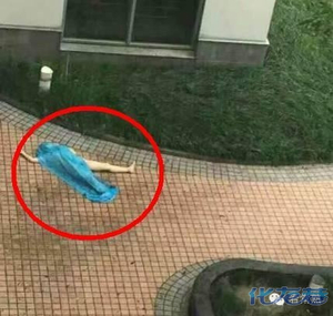 江苏女大学生裸身坠亡