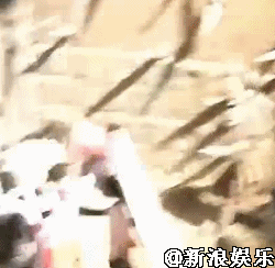 狂用替身?制片人证杨洋敬业：吊威亚受伤