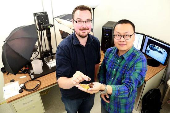 琥珀里发现了只恐龙