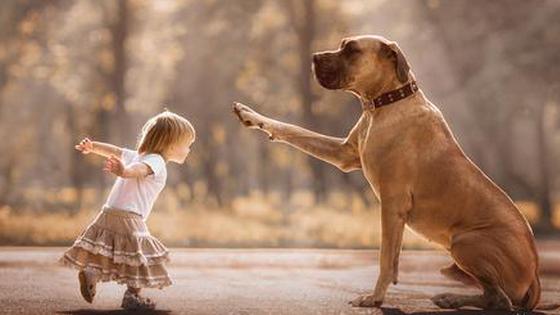 小小孩和大狗狗的感人瞬间萌化你的心