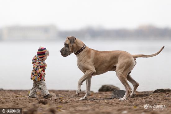 小小孩和大狗狗的感人瞬间萌化你的心