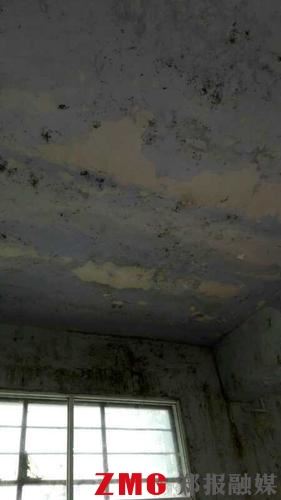 “上课铃响了,房顶还在漏雨,老师叫我们撑开自己的伞…”河南郭庄小学的孩子们都是山里娃,盼着教学楼能修一修。他们身上湿着、手被冻僵,老师们看着也难受。据悉教学楼四年前刚修过,不能再报修,老师和孩子们只能自己想办法。