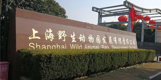10年养死5熊猫的动物园回应了