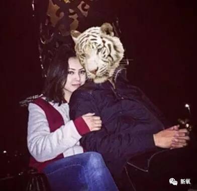 迷死氧翻了大半个ins圈，也没找到和迪玛希的合照，但这个虎头感觉有点猫腻。