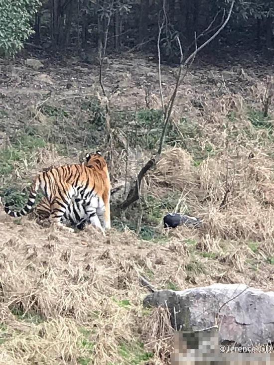 图为事发现场。