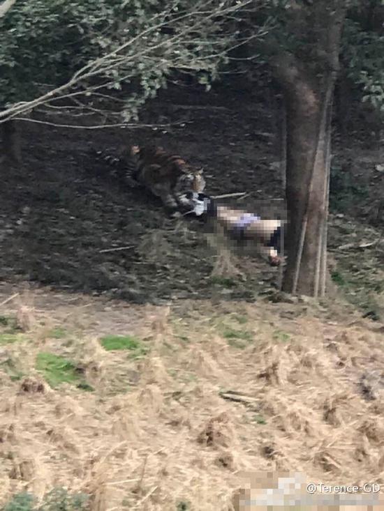 图为事发现场。