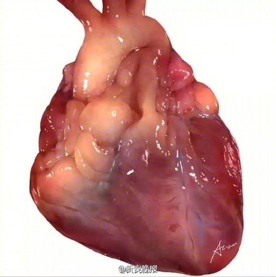 68690a6cgy1fcvmgzkocoj20j60jbdhh