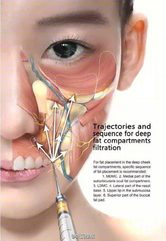 医生周舒扬和他的医学插画